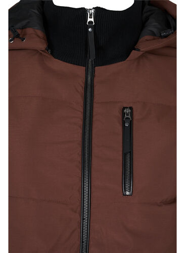 Vinterjacka med avtagbar huva, Friar Brown, Packshot image number 2